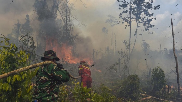 4 Hektare Lahan di Batang Hari Terbakar, Petugas Berjibaku Padamkan Api