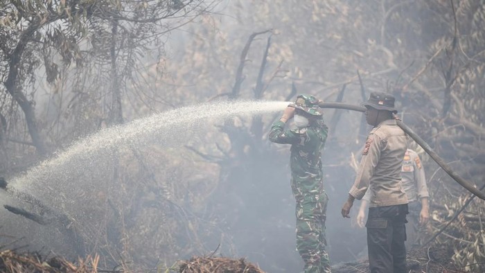 Karhutla Riau Menurun, Penanganan Kebakaran di Kerumutan Diperkuat Via Udara