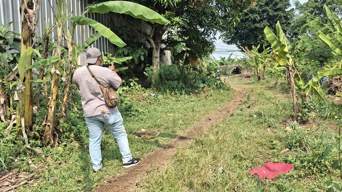 Geger Pria Ditemukan Tewas di Kebun Citeureup Bogor, Ada Luka Akibat Sajam