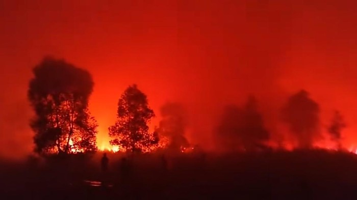 Taman Nasional Way Kambas Terbakar Sejak Jumat Siang