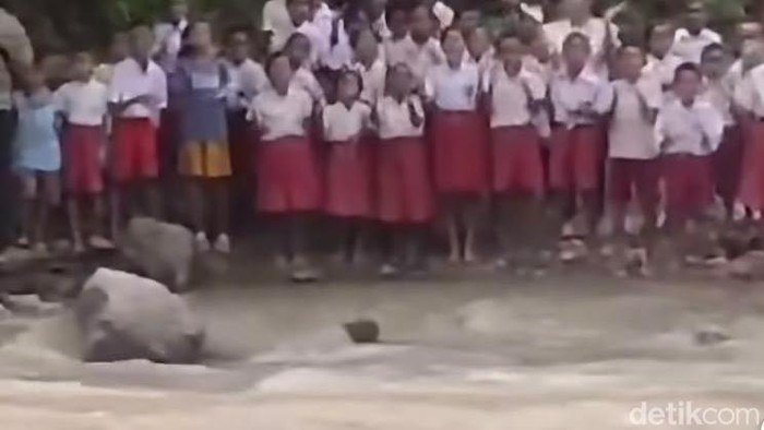 Kadis Mau Lewati Sungai Tanpa Jembatan, Siswa SD NTT Yel-yel ‘Ayo Maju-maju’