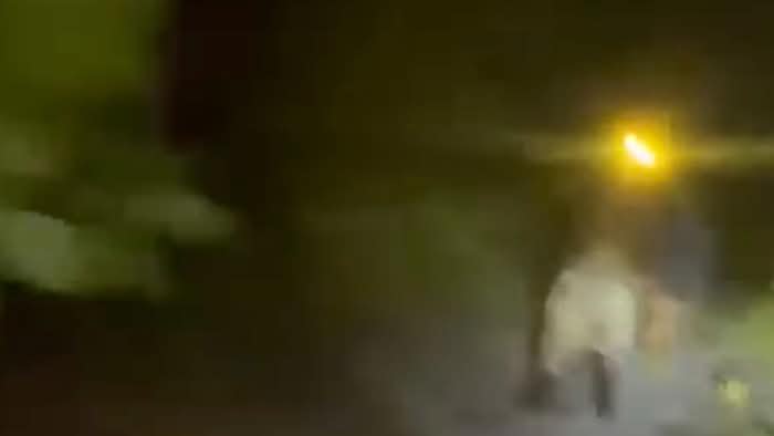 Viral ‘Pria Senter’ Diduga Pelaku Karhutla di Kalteng, Kini Ditangkap