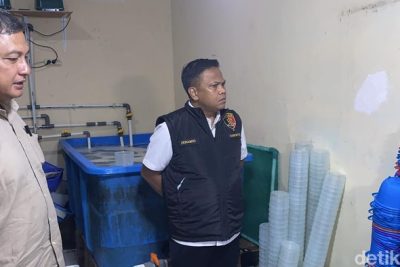 Polisi Ungkap Modus Penyelundupan 73 Ribu Benih Lobster yang Dicegah ke Vietnam