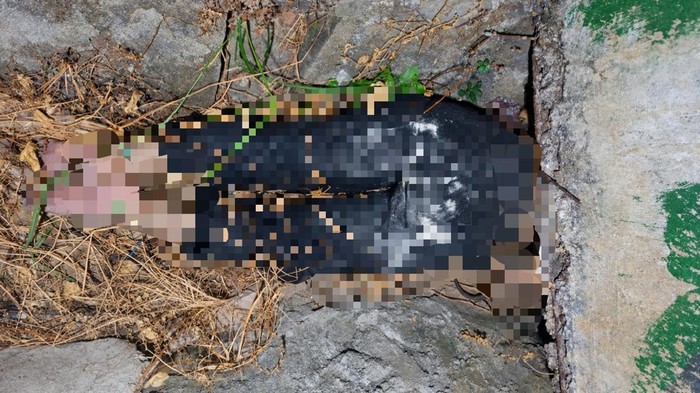 Wanita di Bandar Lampung Tewas Terikat dalam Parit, Ada Luka Cekik di Leher