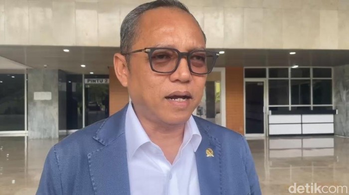 ketua-dpp-pdi-perjuangan-deddy-sitorus-dwi-rahmawatidetikcom-1745223981995_169