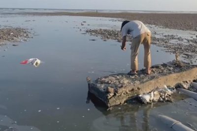 Limbah Tambak Udang Dibuang ke Laut Sumbawa, Pemprov NTB Ancam Sanksi Berat