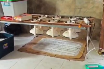 Penampakan Lab Narkoba 1,2 Ton di Pidie Aceh yang Dibongkar Polri hingga BNN