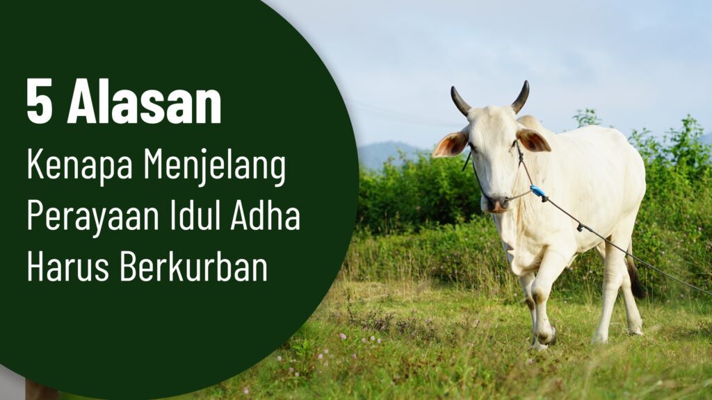 Perayaan Idul Adha