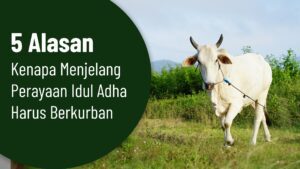 5 Alasan Kenapa Menjelang Perayaan Idul Adha Harus Berkurban