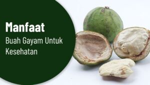 9 Manfaat Buah Gayam Untuk Kesehatan yang Jarang Diketahui