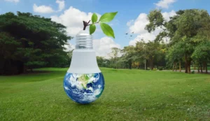 Apa Manfaat Penggunaan Lampu LED terhadap Lingkungan, Apa Saja?