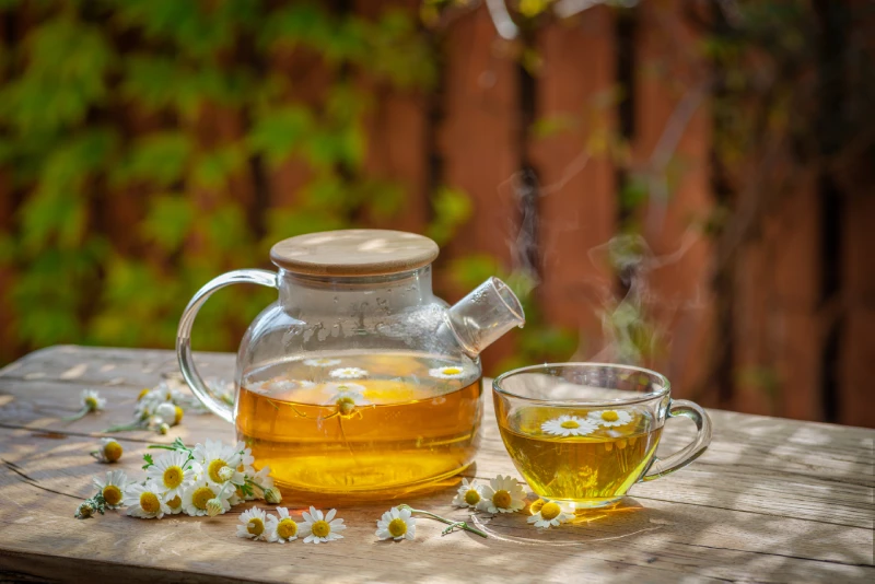 Chamomile