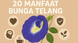 20 Manfaat Bunga Telang untuk Kesehatan dan Kecantikan