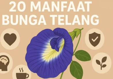 20 manfaat bunga telang
