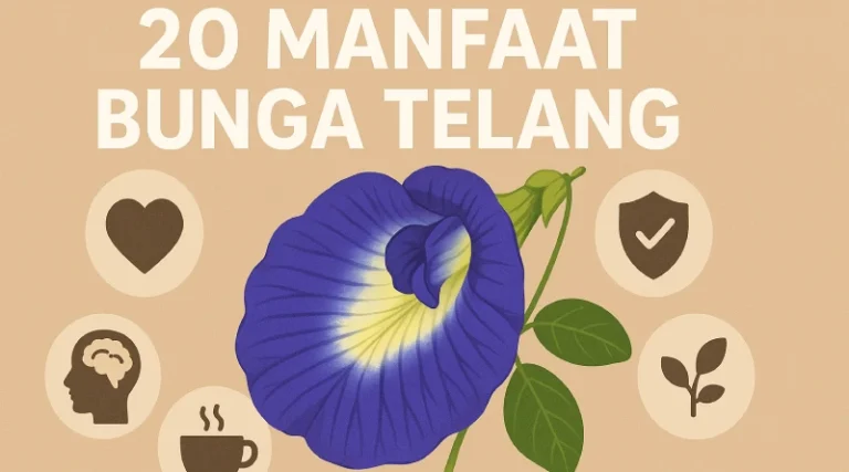 20 manfaat bunga telang
