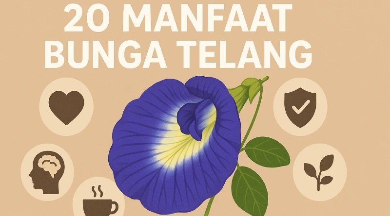 20 manfaat bunga telang