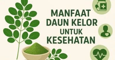 manfaat daun kelor untuk kesehatan