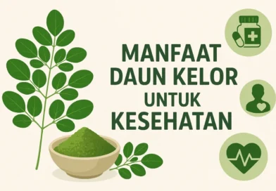 manfaat daun kelor untuk kesehatan