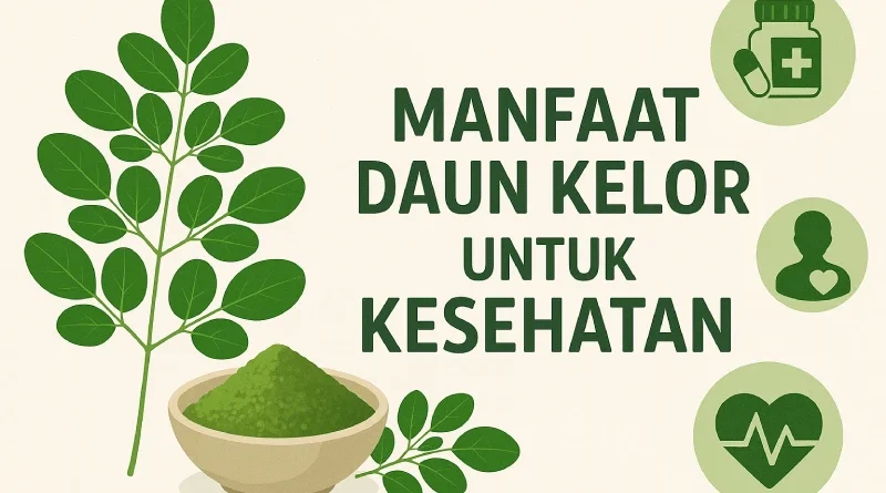 manfaat daun kelor untuk kesehatan