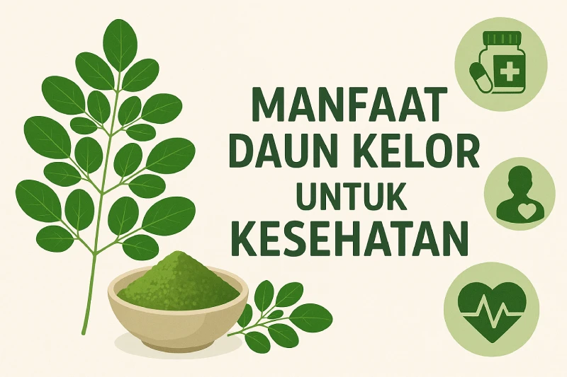 10 Manfaat Daun Kelor untuk Kesehatan Tubuh, Terbukti Ampuh!