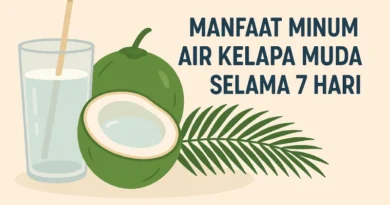 manfaat minum air kelapa muda selama 7 hari