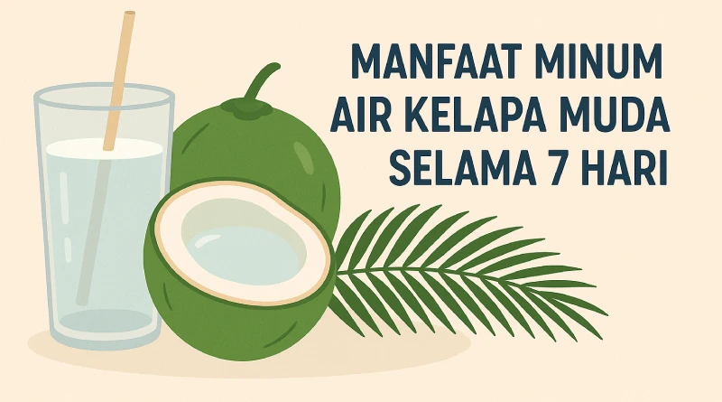 manfaat minum air kelapa muda selama 7 hari