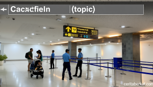 Momen Bersejarah: Trafik Mudik Lebaran 2025 di Bandara Ngurah Rai hanya Tumbuh 4 Persen selama 10 Hari