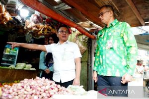 Bapanas: Harga kedelai mahal di Jakarta bukan dari distributor resmi