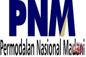 Agenda Kunjungan: Urgensi transformasi PNM menjadi bank khusus UMKM