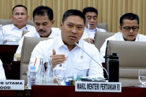 Kebijakan Baru: Wamentan dorong pengetatan impor dan penguatan hilirisasi gula