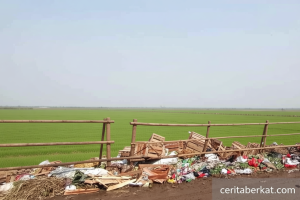 Pasar Jaya sudah angkut 2 ribuan ton sampah di Pasar Induk Kramat Jati