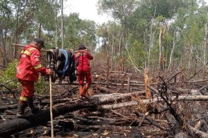 Manggala Agni tuntaskan operasi pemadaman karhutla di Pulau Bengkalis