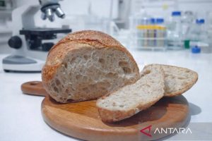 Mengatasi Masalah: BRIN kembangkan adonan “sourdough” berbasis beras lokal Gunungkidul