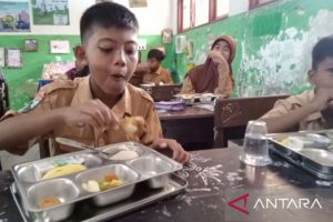 Rencana Khusus: Satgas MBG temukan 41 SPPG belum mengantongi sertifikat halal