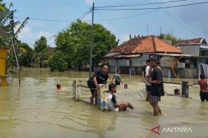 Yang Dibahas: BBWS usulkan bangunan pengendali dua aliran sungai atasi banjir Demak