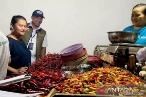 Rencana Khusus: PIHPS: Harga cabai rawit Rp75.900/kg, telur ayam Rp32.400/kg