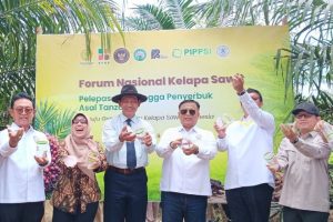 Strategi Penting: Kementan dan Gapki kenalkan serangga penyerbuk terbaru kelapa sawit