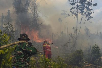 4 Hektare Lahan di Batang Hari Terbakar, Petugas Berjibaku Padamkan Api