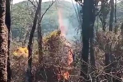 132 Kasus Karhutla di Jabar, KDM Minta Pendakian Gunung Disetop Sementara