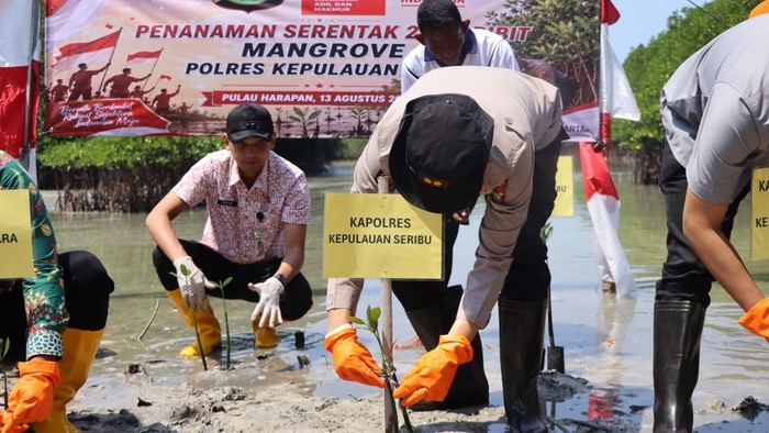 Sambut HUT RI, Polres Kepulauan Seribu Tanam 2.000 Mangrove-Salurkan Bansos
