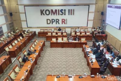 Pakar di Rapat RUU Perampasan Aset: Kalau Harimau-Gajah Jadi Aset Gimana?