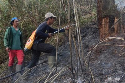 Hutan di Ranu Kembang Kebakaran, Pendakian Gunung Semeru Ditutup Total