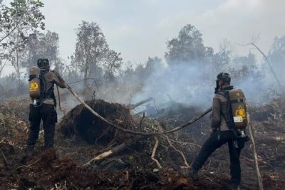 Riau Zero Karhutla, Satgas Tetap Siaga Cegah Api Kembali Muncul