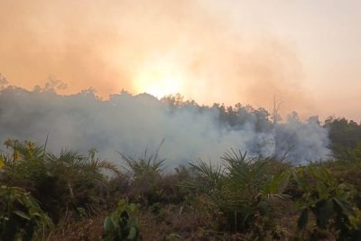 BNPB: Karhutla Seluas 96,07 Hektare Belum Padam