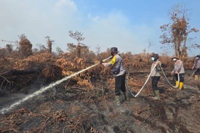 Karhutla 20 Hektare di Inhil Padam, Tim Gabungan Lanjutkan Pendinginan