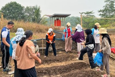 Didukung TEP UI, Warga Sambas Kelola Lahan Tandus Jadi Kebun Sayur