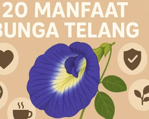 20 Manfaat Bunga Telang untuk Kesehatan dan Kecantikan