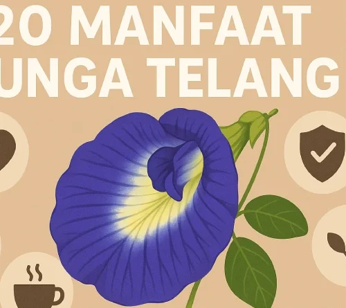 20 Manfaat Bunga Telang untuk Kesehatan dan Kecantikan