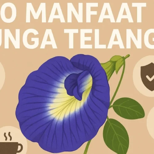 20 Manfaat Bunga Telang untuk Kesehatan dan Kecantikan