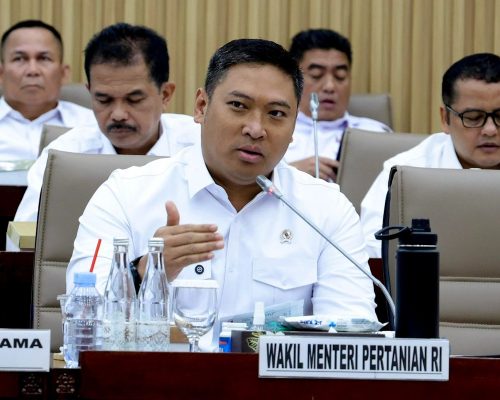 Kebijakan Baru: Wamentan dorong pengetatan impor dan penguatan hilirisasi gula